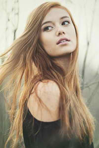 倚天屠龙记之魔教教主国语版