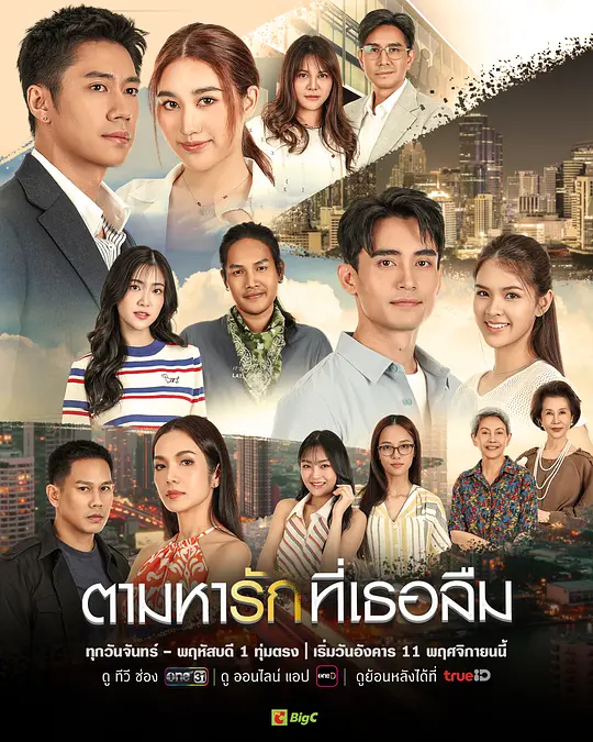 免费看找寻遗忘的爱